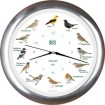 Vogelstimmenuhr mit Funkuhrwerk Alurahmen