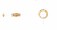 1748_R 585/- Gelbgold